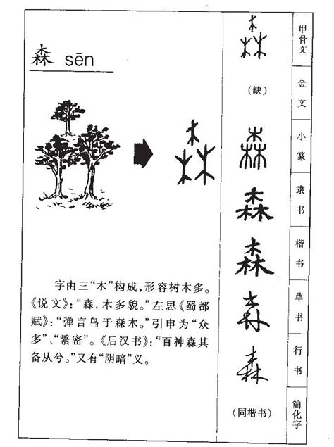 森字|森的意思，森字的意思